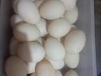 Country Eggs
