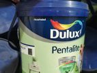 Dulux 4L Paint buckets