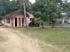 බුත්තල Land for Sale