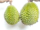 දූරියන්