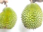 දූරියන්