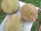දූරියන්