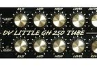 Dv Mark - Little GH 250 Tube Guitar Amp Head Only