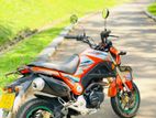 Dayun Mini 110 2017