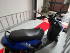 Dyno Scooby 125 2023