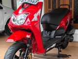 Dyno Scooby 125 2023