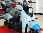 E Bike XGW 2026