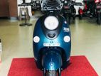 E Bike XGW 2026