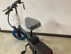 Foldable Electric Bike