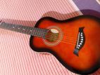 Eastman Guitar