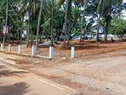 Easy Access to Negombo Main Road – Kandana Batagama Land