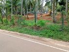 Easy Access to Negombo Main Road – Kandana Batagama Land