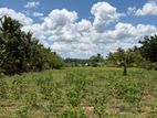 Ebilipitiya kiriebanara wawalaga 3aces Land For sale