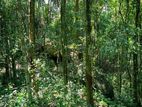 Eco Friendly Land for Sale in Ambagaspitiya – Yakkala