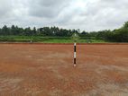 Eden Grove – අතුරුගිරියෙන් වටිනා බිම් කොටසක්