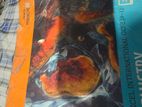 Edexcel Chemistry Textbook