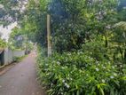 ඒකලින් වටිනා නේවාසික බිම්කොටසක් / YS 14001