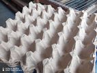Egg Box Tray 30PCS
