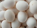 White Eggs