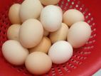 Incubator Eggs