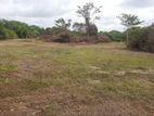 Ehetuwewa, Galgamuwa Land for Sale (SSPL- 169)