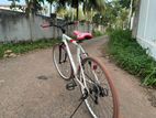 Eizer Japan Bicycle