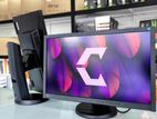 Eizo Flexscan Ev2319 23 Inch Fhd Tn Led Dp Port Monitor