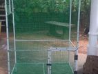Birds Cage