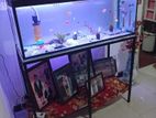 Fish Tank
