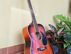 EKO Acoustic Guitar