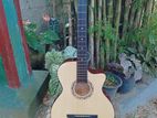 Accoustic Guitar