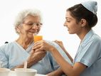 Elder care and housemaid services.