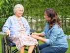 Elder Care Service