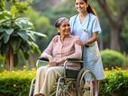Elder Care Service