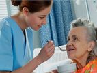 Elderly Care Service