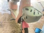 Electra Bike 2024