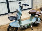 Electra Electro 48cc 2026