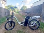 Electric Bicycle