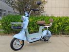 Electric Bike (X01) 2024