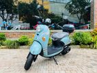 Electric Bike (XGW) 2024