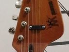 Electric Guitar