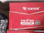 ELECTRIC MOTOR CYCLE BATTERY 6-EVF-32-LED ACID