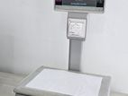 Electronic Bill Printing Scale