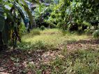 Elegance Land for Sale Boralasgamuwa