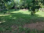 Elegance Land for Sale Maharagama
