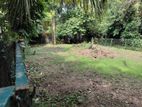 Elegance Land for Sale Maharagama Town