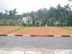 Elegance Land Plots for Sale in Nawagamuwa