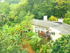 Elegant Cottage for Sale – George E. De Silva Mawatha, Aniwatta, Kandy