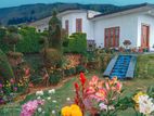 Elegant Holiday Home Nuwara Eliya for Short Rentel