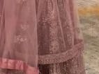 Elegant Light Salmon Pink Lehenga